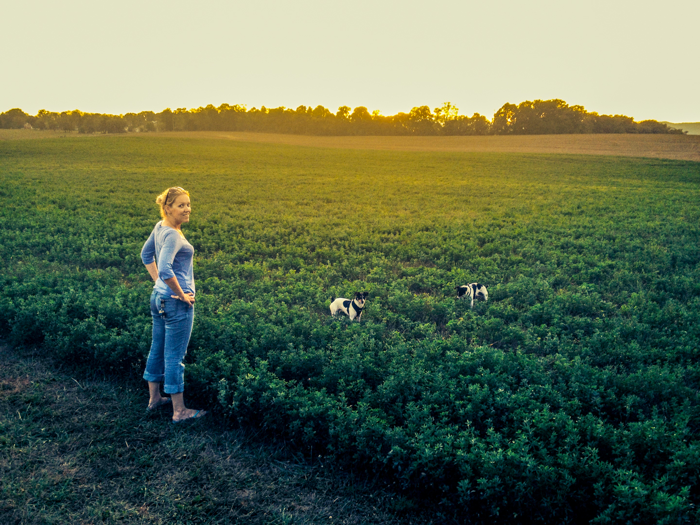 Melissa Hombosky stands in a field as the sun sets, smiling and watching her dogs play